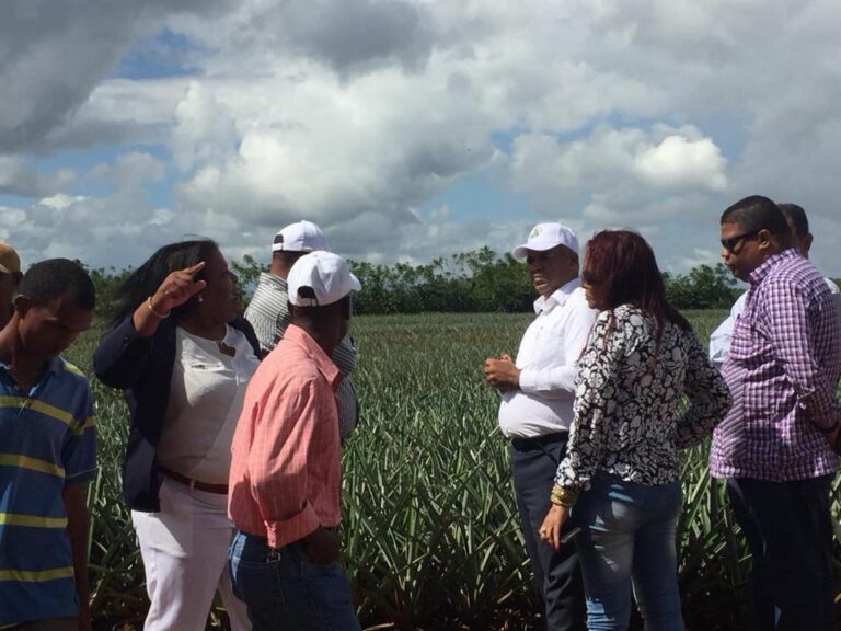 El dir. del FEDA, Ing. José Casimiro Ramos, realizó ayer en Monte Plata la entrega de un cheque a la Cooperativa Agropecuaria de Servicios Múltiples Las Cinco Casas (COOPROACINC).